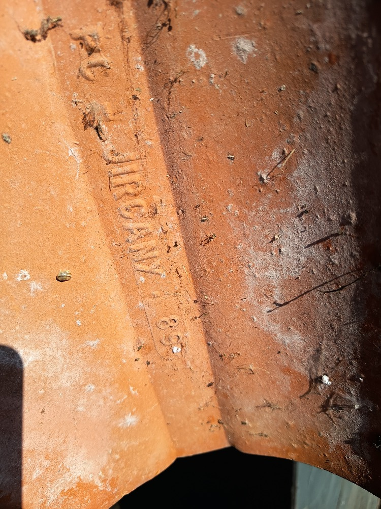 Hřebenáče Jirčany - 2