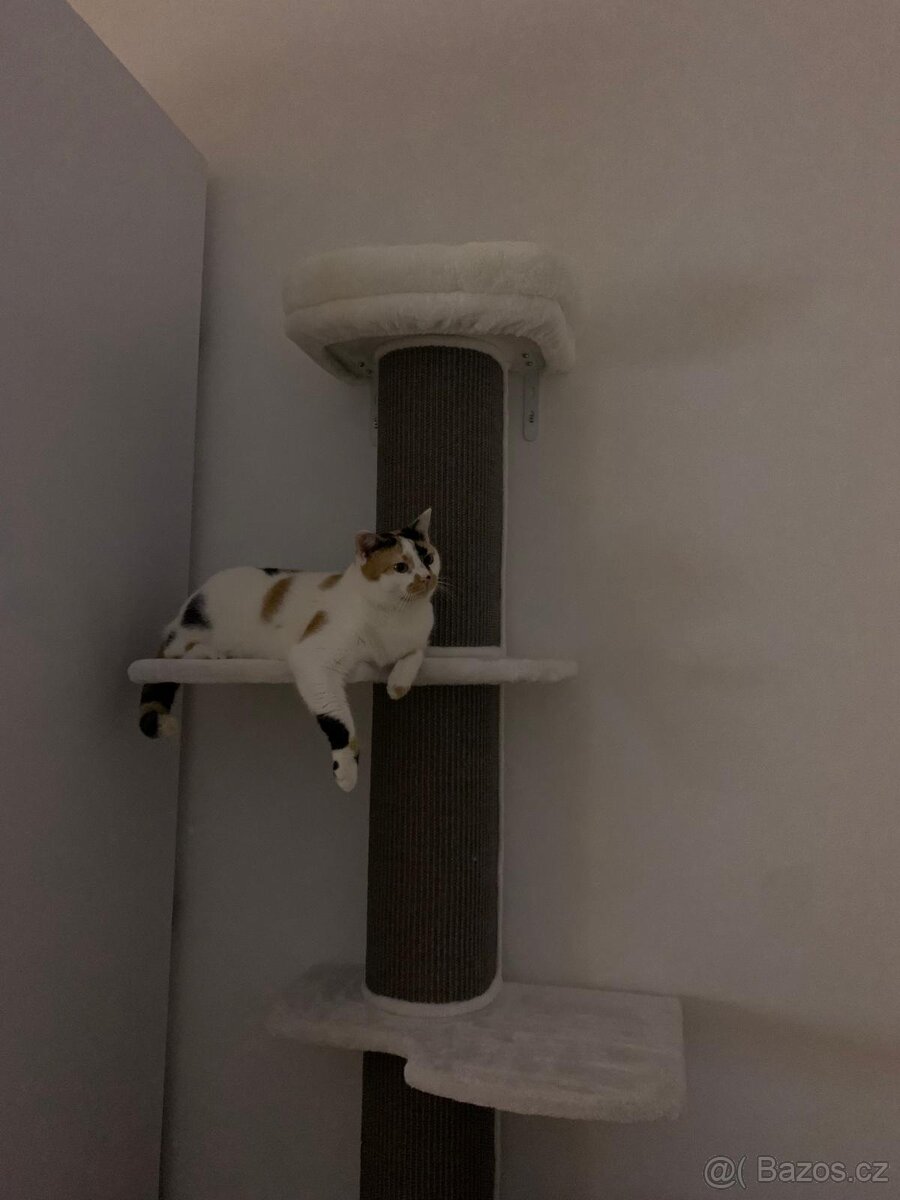 Trixie Acadia škrabadlo k montáži na zeď - 2