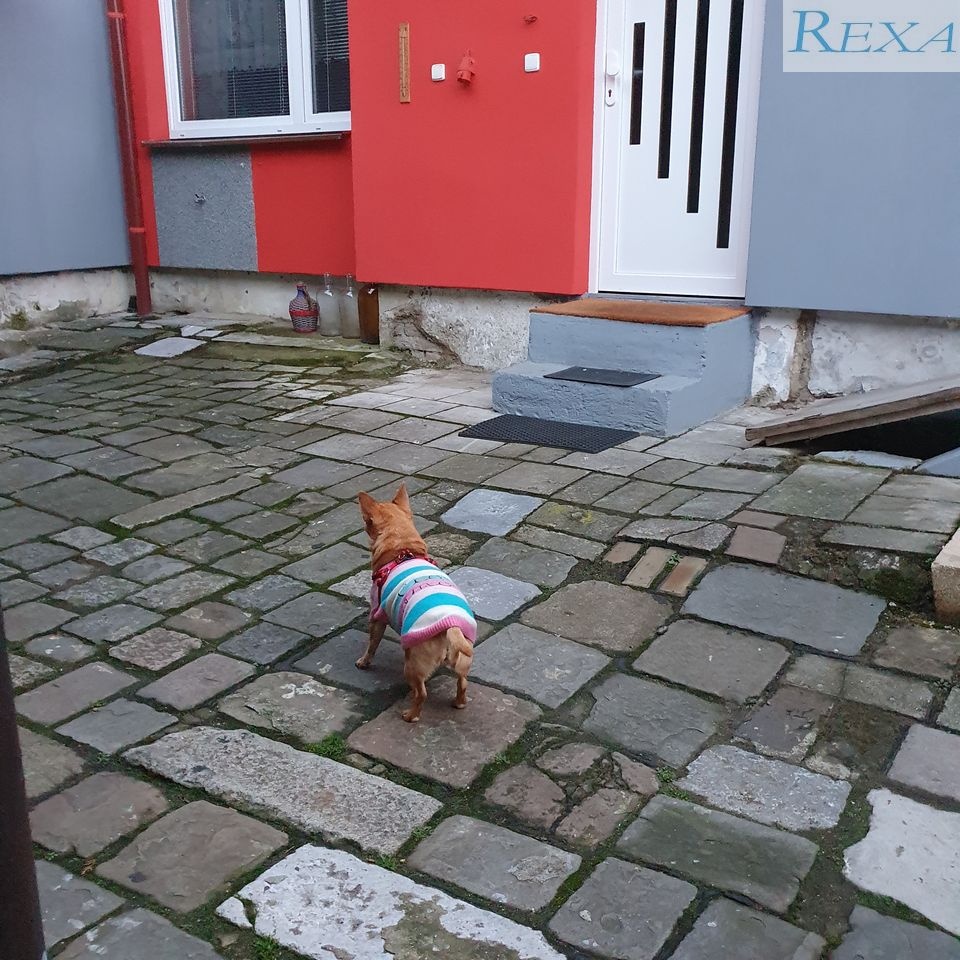 Brno Židenice, Táborská, garsonka - 2