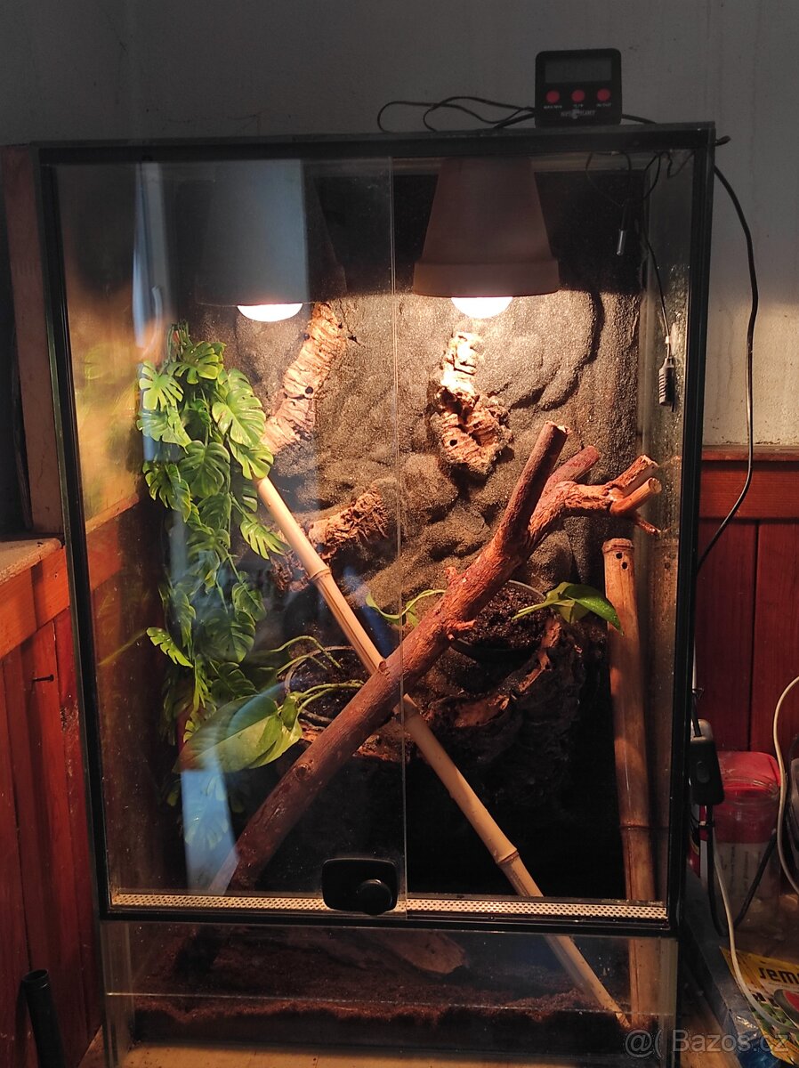 Terárium - 2