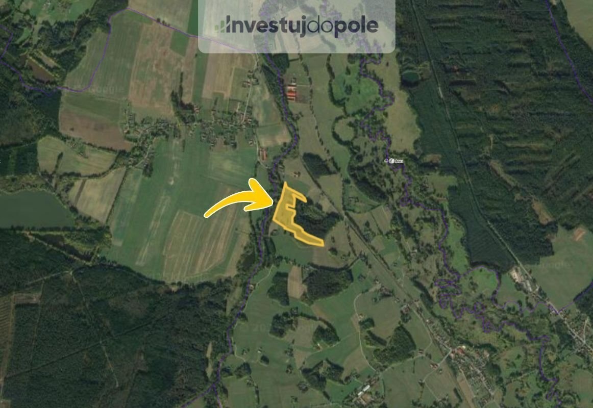 Prodej specifického pozemku 54 200 m², Dvory nad Lužnicí - 2