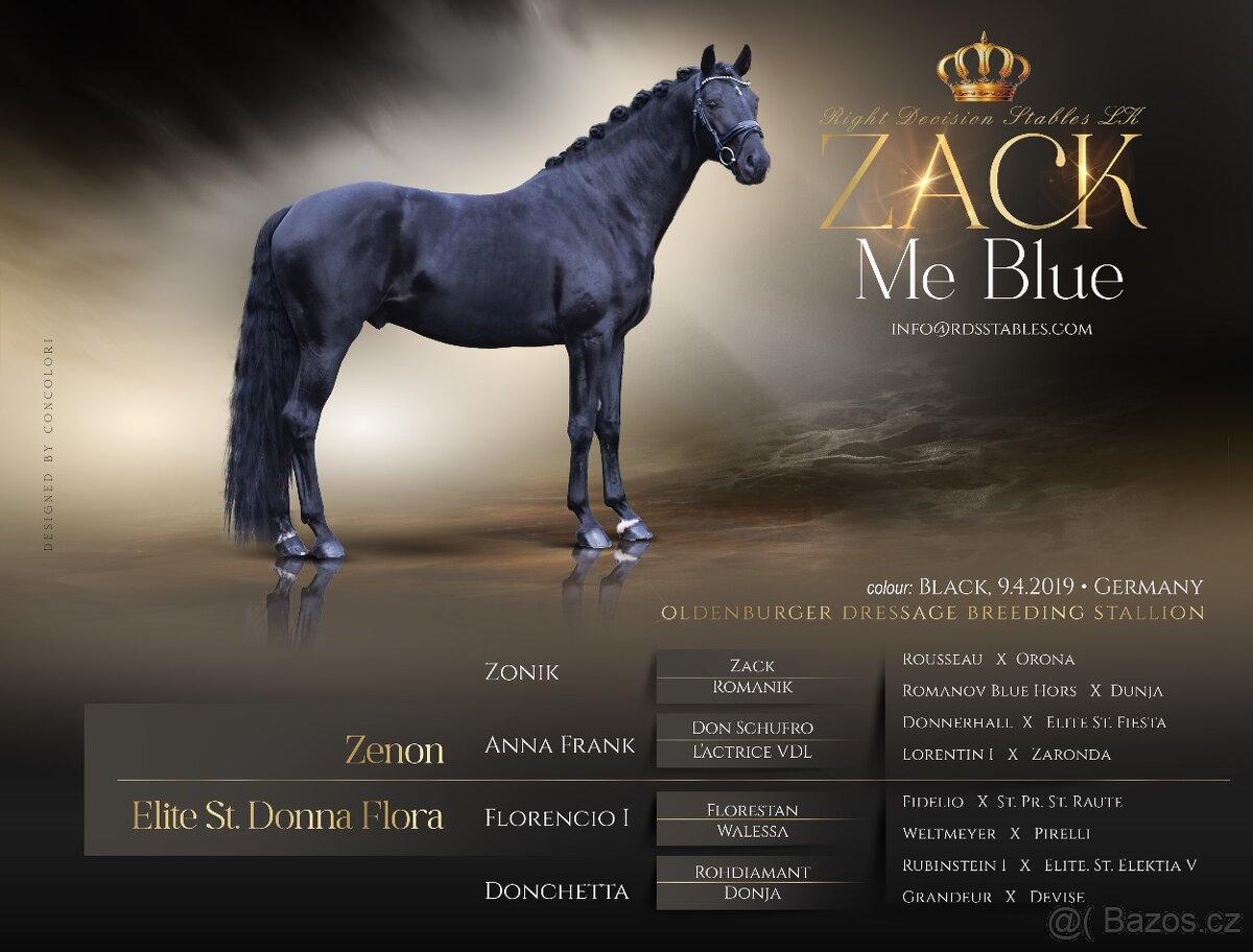 Připouštění drezurním plemenným hřebcem - 2