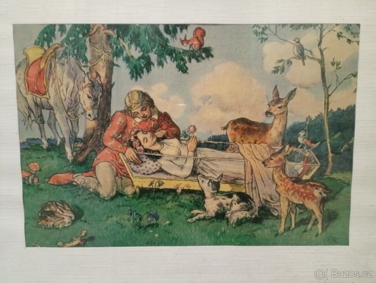 Obrázek Šípková Růženka - 2