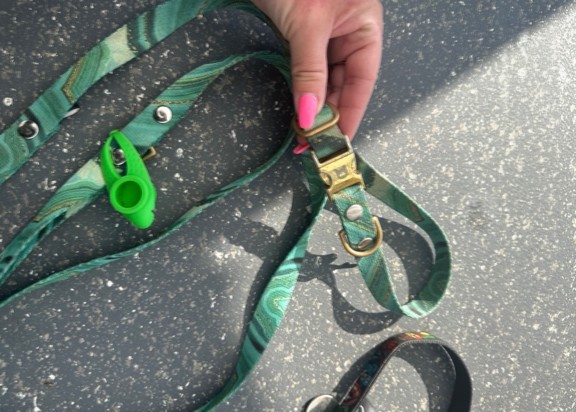 Obojek vodítko Obodog - 2