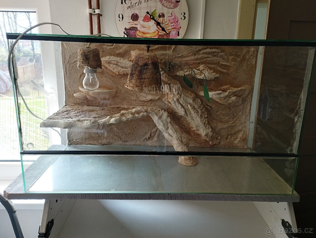 Terárium pro agamu - 2