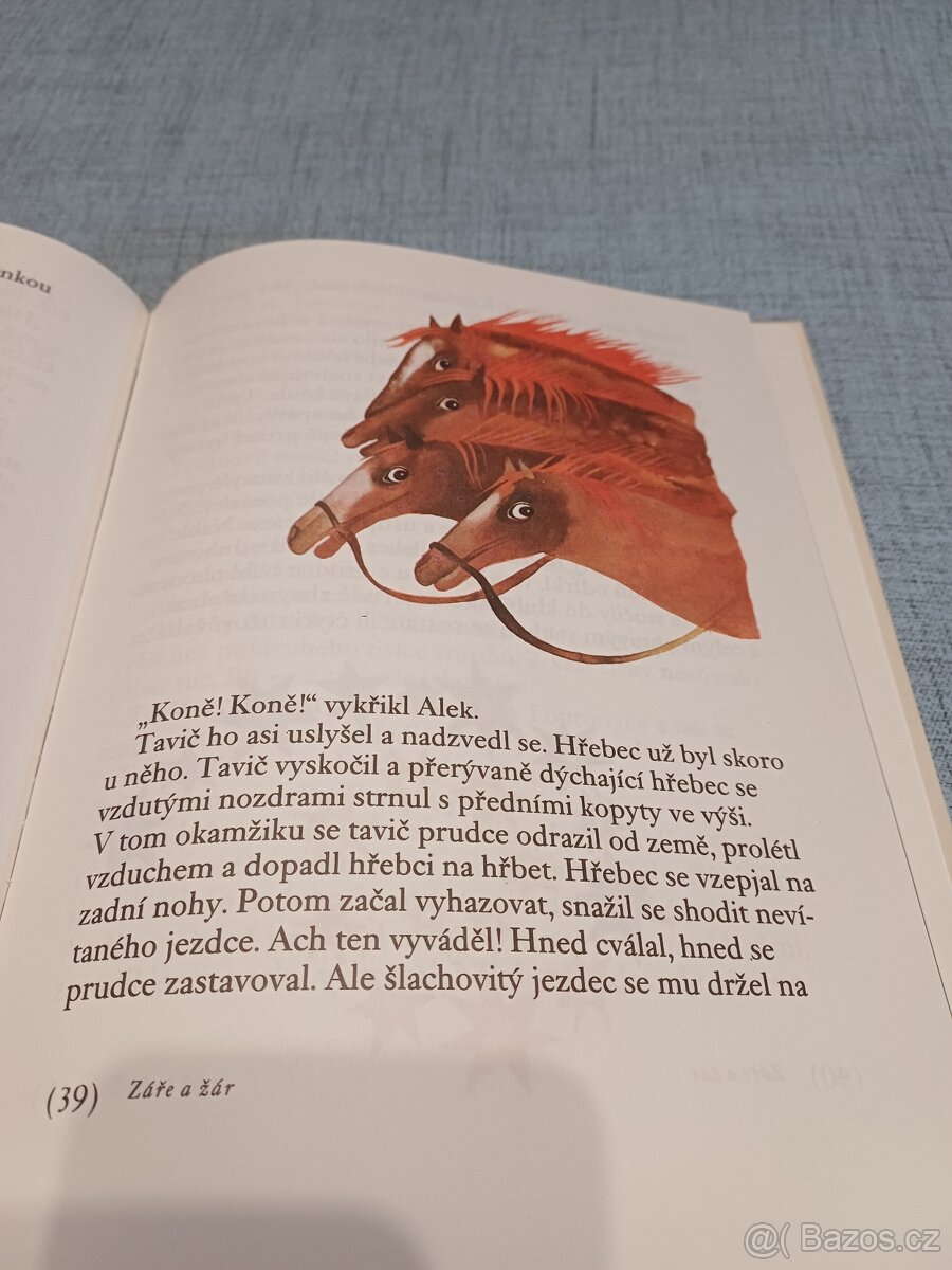 Kniha pro děti - 2