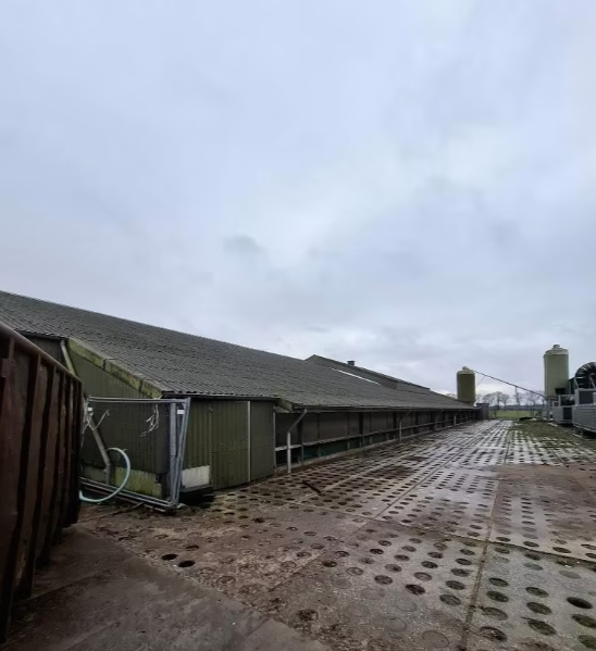 demontovana hala - 2