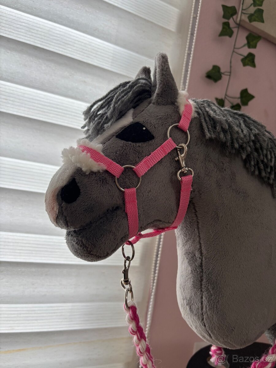 Hobby horse - 2