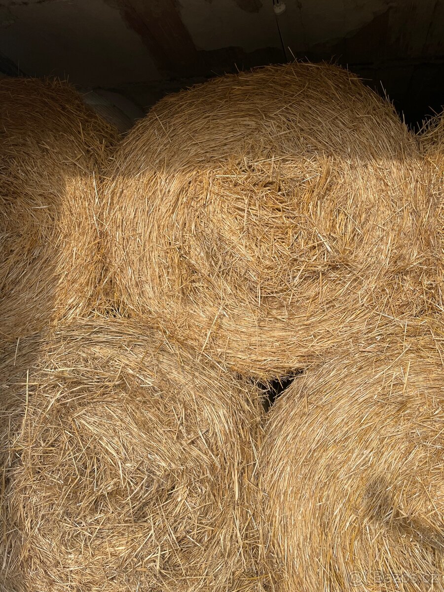 Sláma kulaté balíky - 2