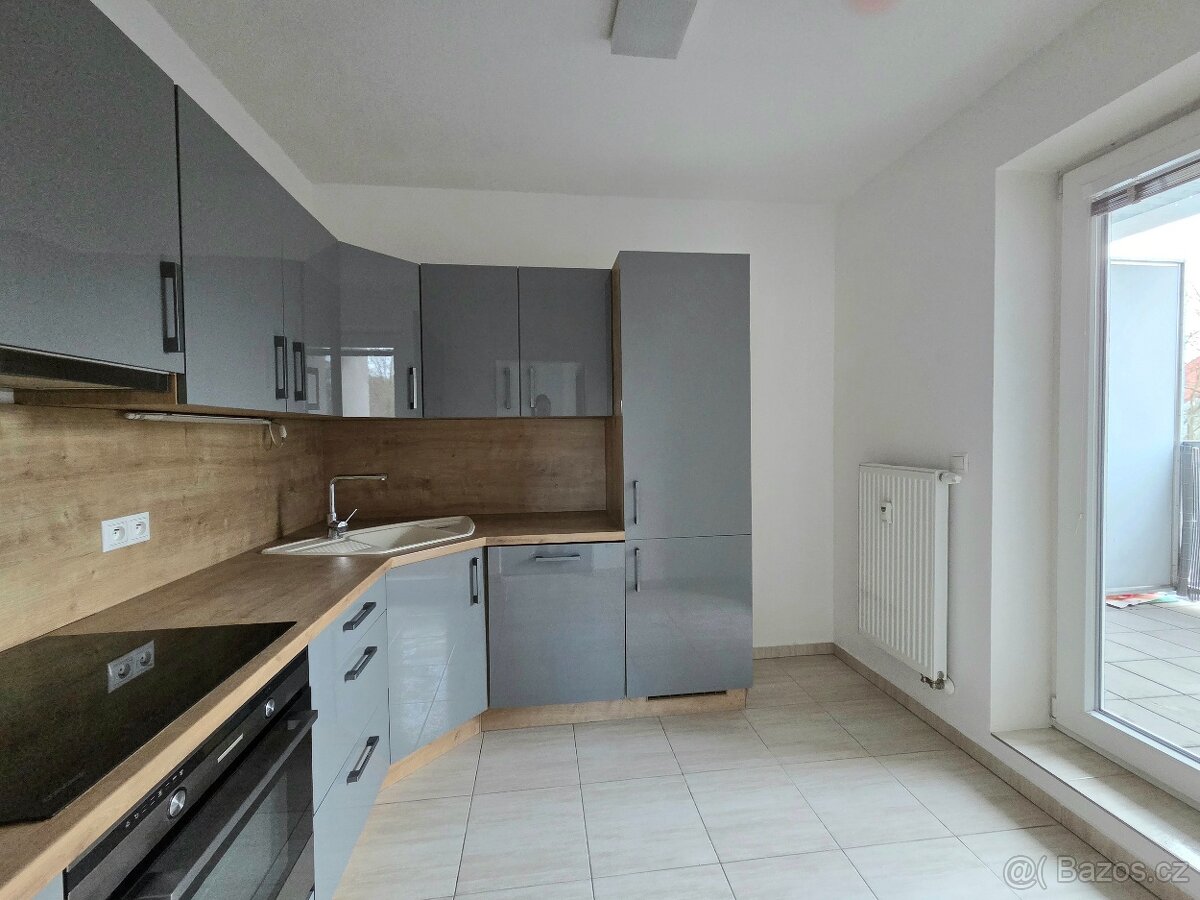 Pronájem bytu 2+1/L, Svémyslice - 2