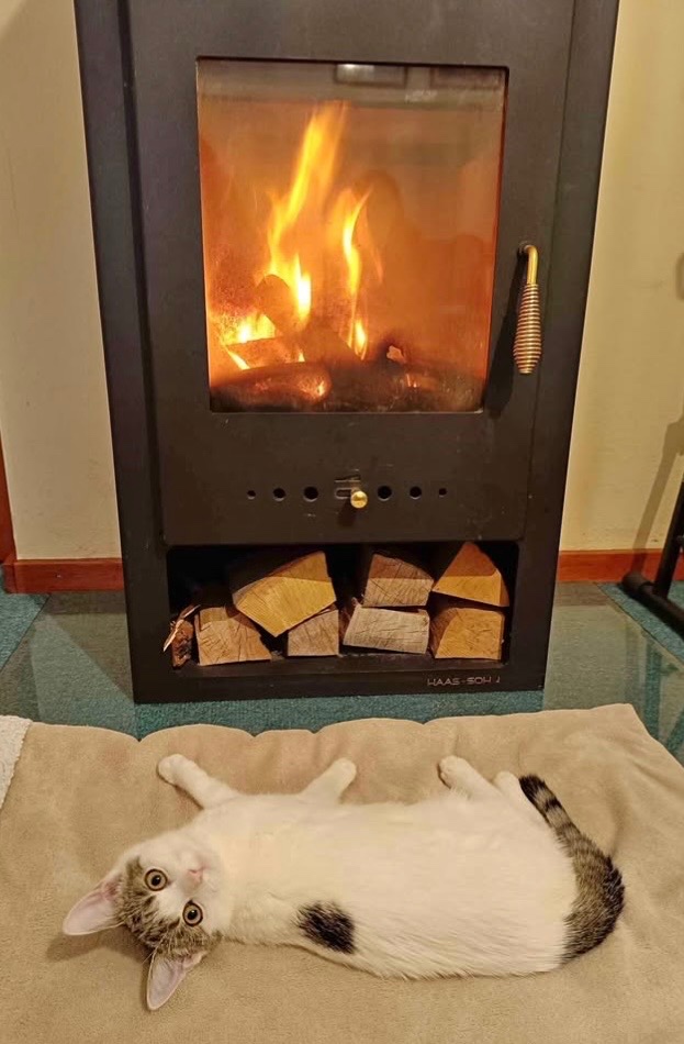 Krbová kamna Adria (+kouřovod a podkladová deska) - 2