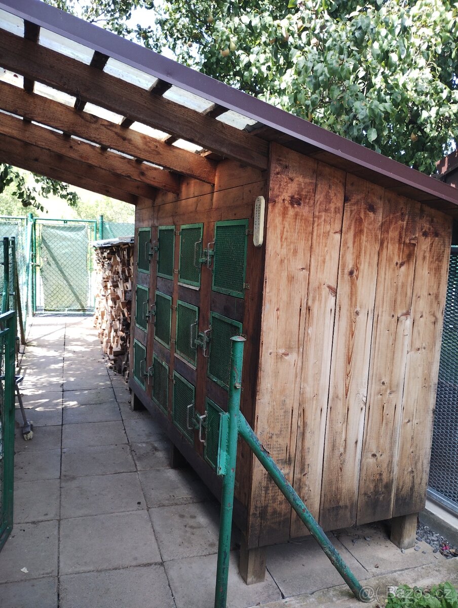 Kralikarna, kotce. - 2