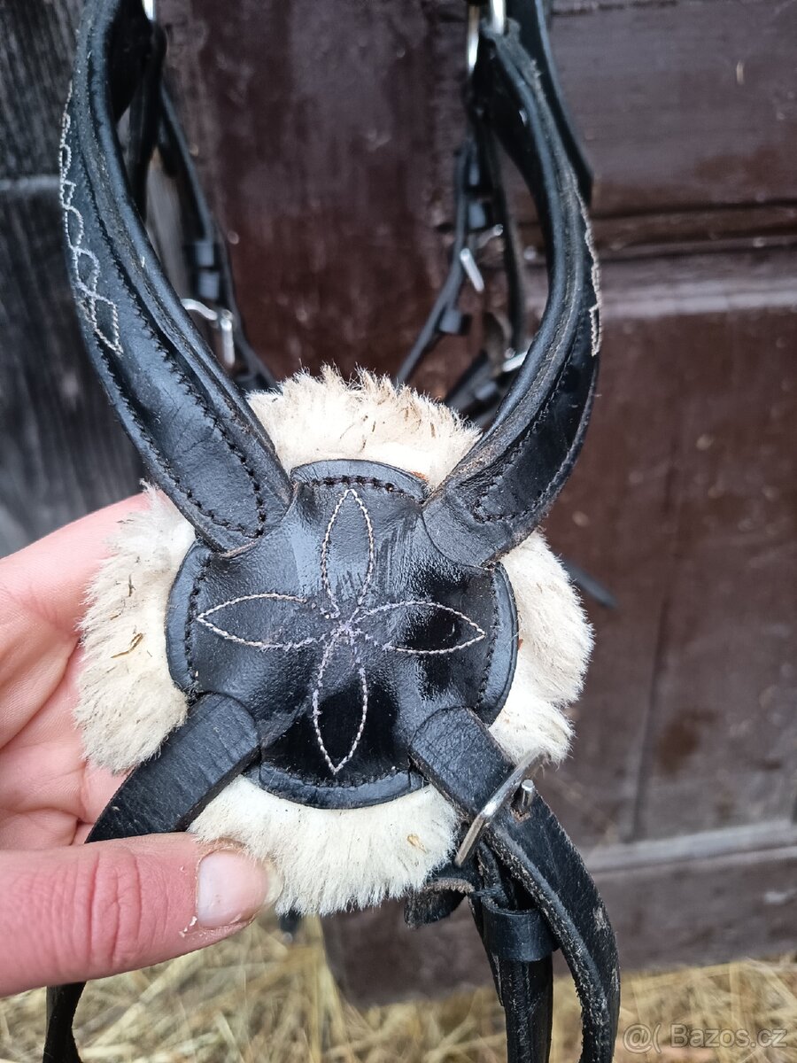 Mexická uzdečka/Mexický nánosník - 2