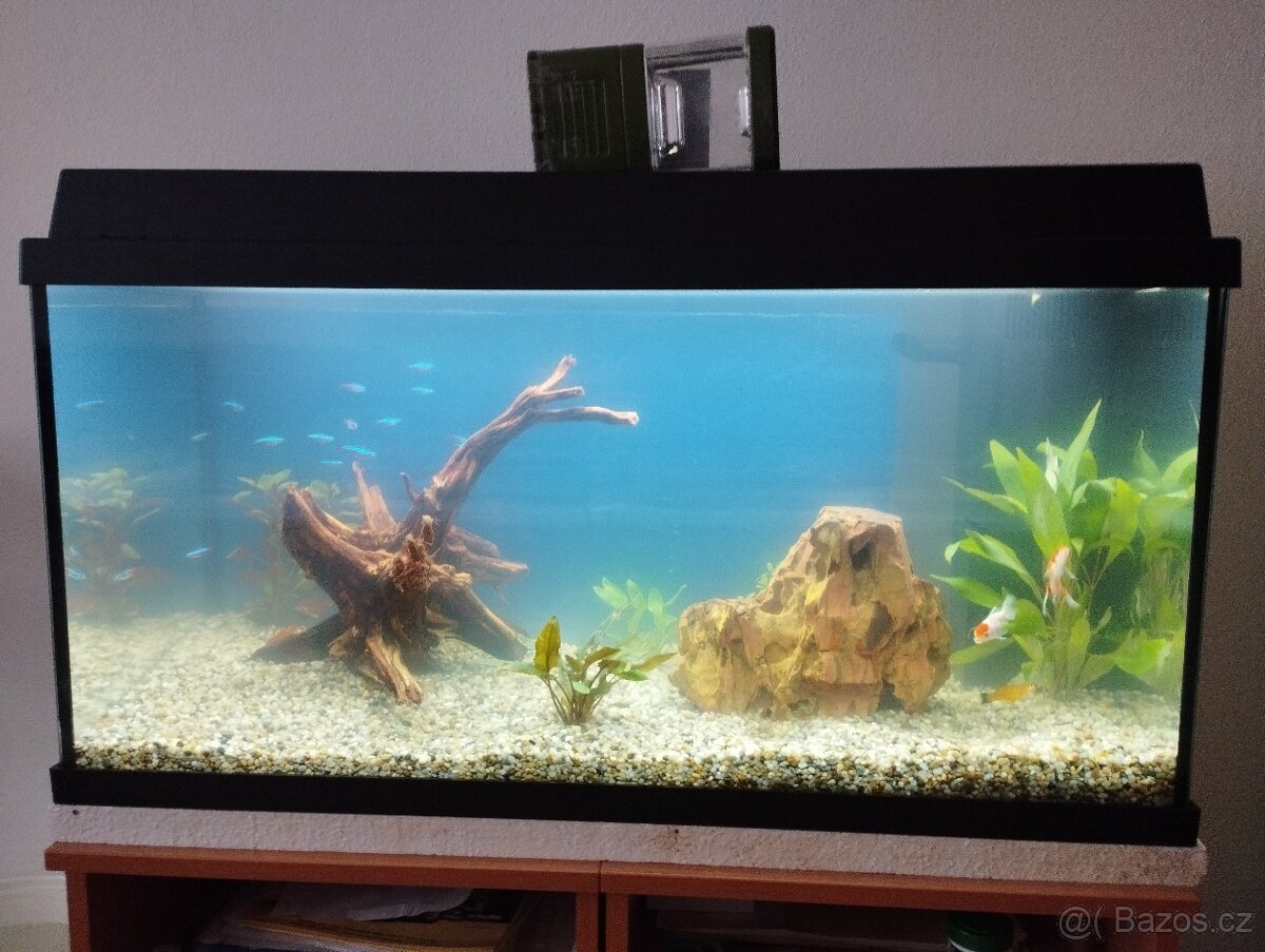 Akvárium 110 l. - 2