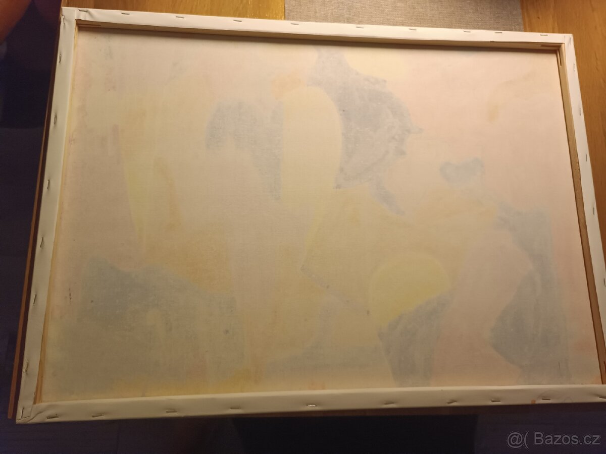 Dekorativní obraz 70x50cm - 2