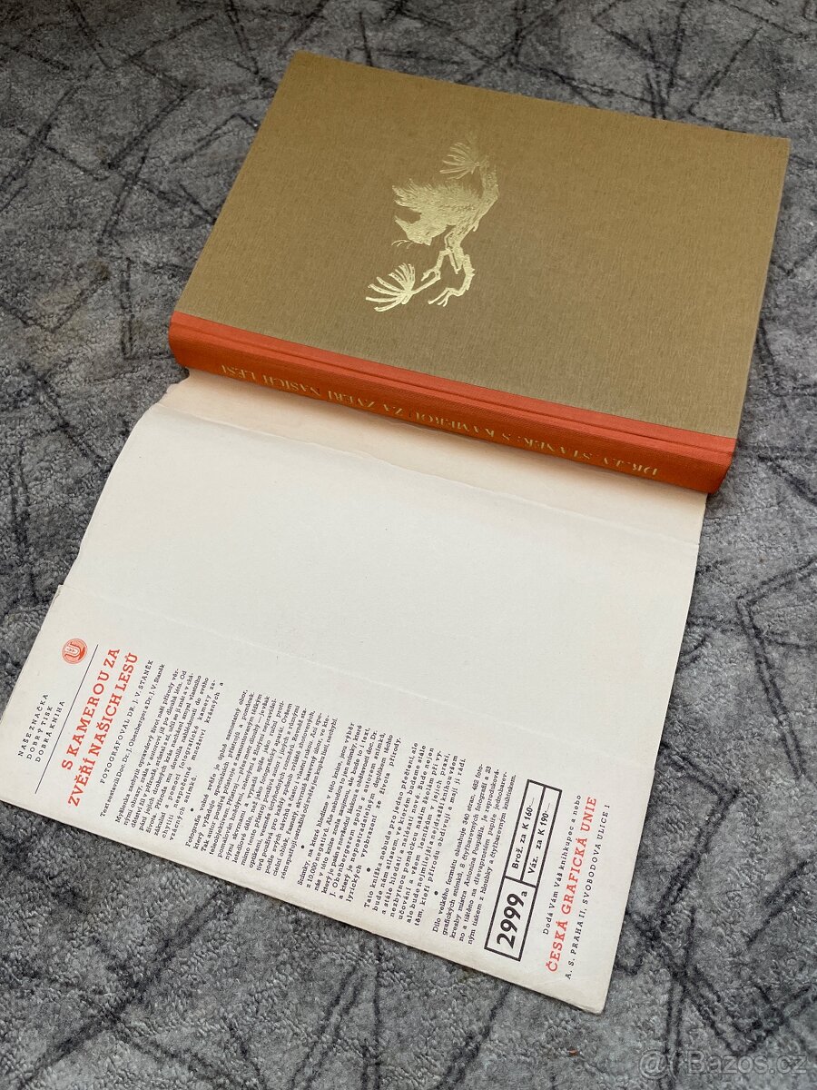 S kamerou za zvěří našich lesů - 2