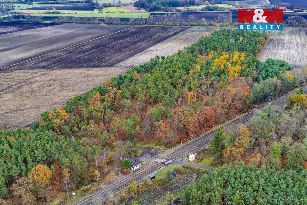 Prodej lesa, 6436 m², Lysá nad Labem - 2