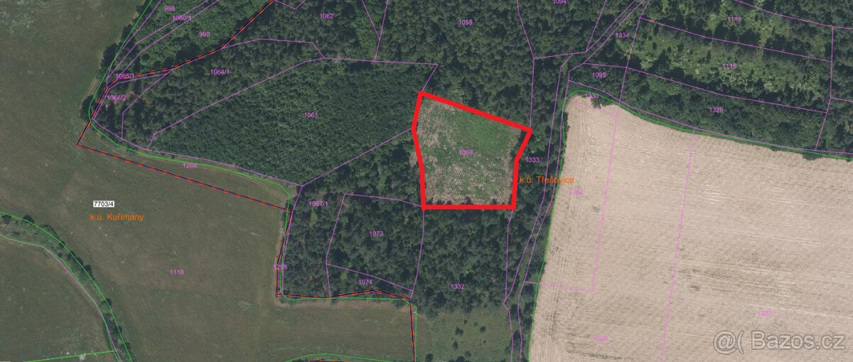 Prodej les Třešovice - 2