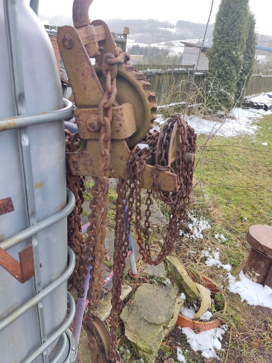 Vrátek řetězový - 2