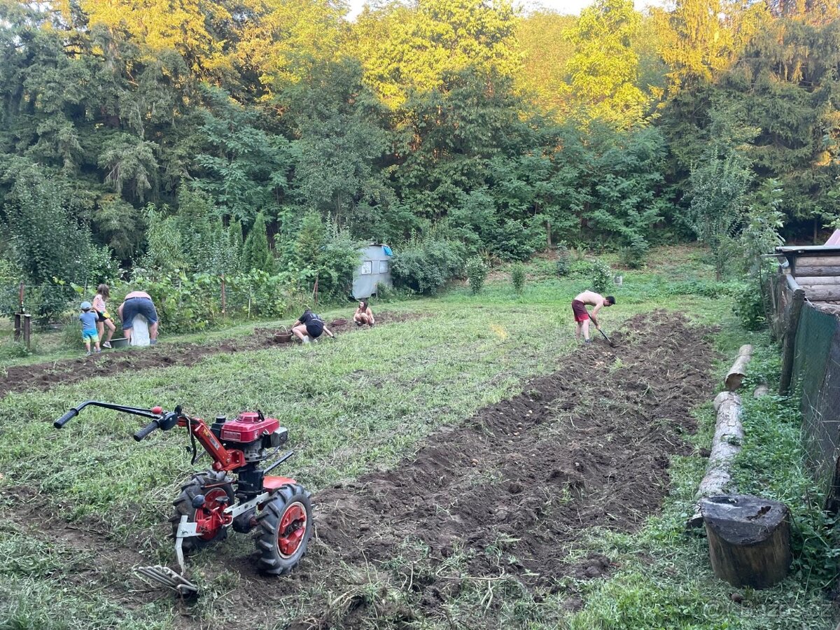 TERA VARI, HONDA 4T GXV 160, 5.5HP - 2