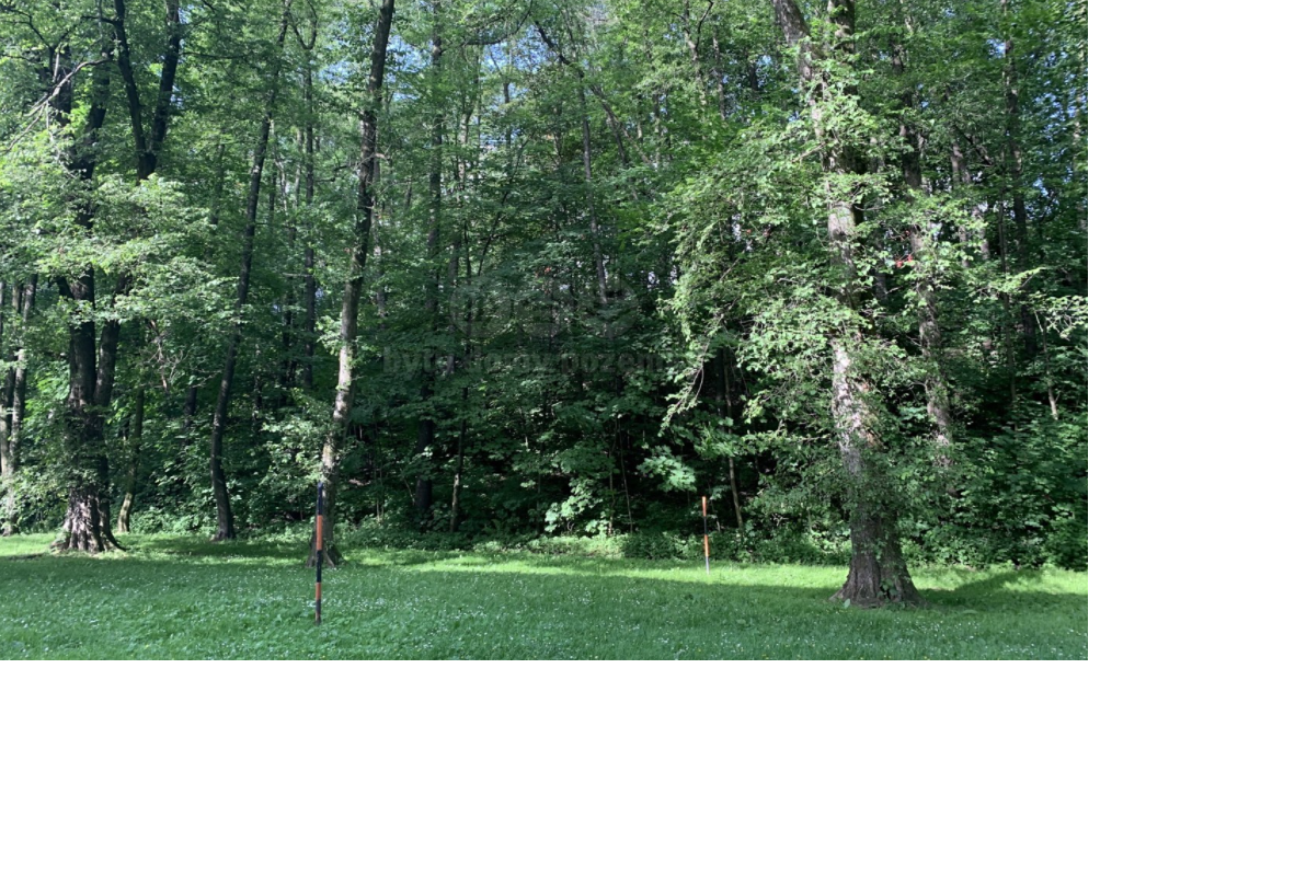 Parcela v Třinci - 2