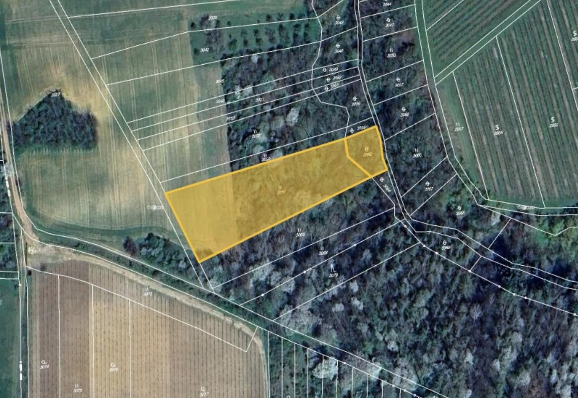 Prodej louky v k.ú. Ořechov u Uherského Hradiště, Újezdec u - 2