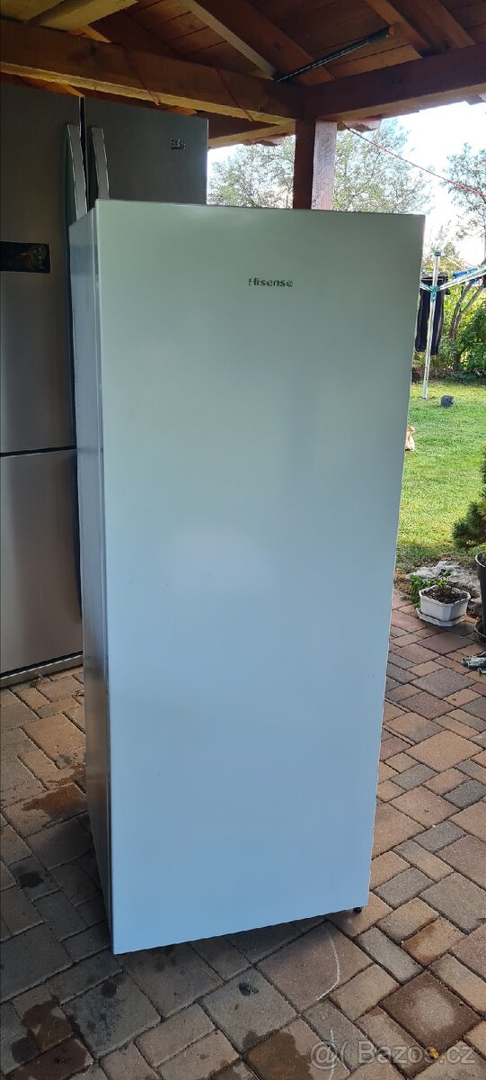 Chladnička Lednička HISENSE RL313D4AWE - 2