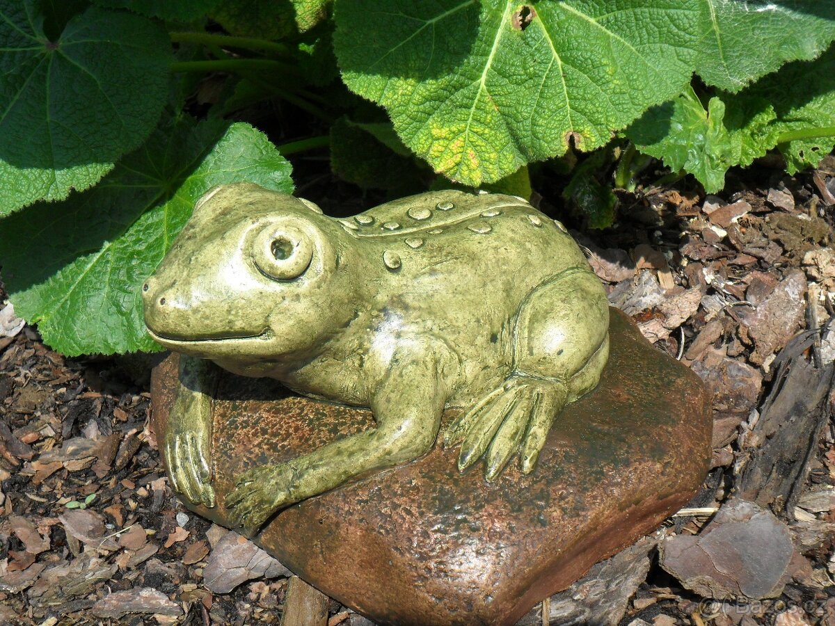 Zahradní dekorace - žába k jezírku, žabka, žába střední - 2