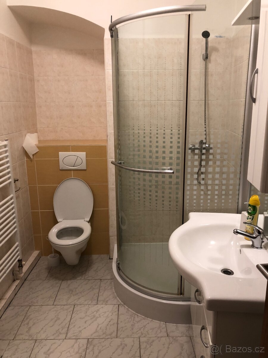 Pronájem 1+0 Olomouc, Šemberova - 2