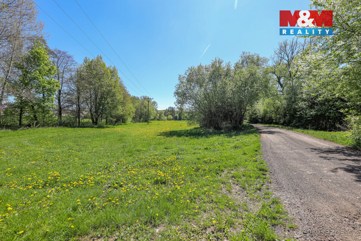 Prodej pozemku, 4590 m², Horní Bříza - 2