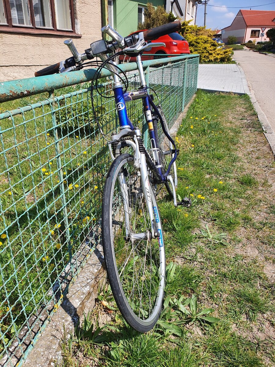 Kolo Author Zenith - 2