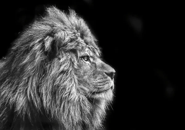 Skleněný obraz - 2