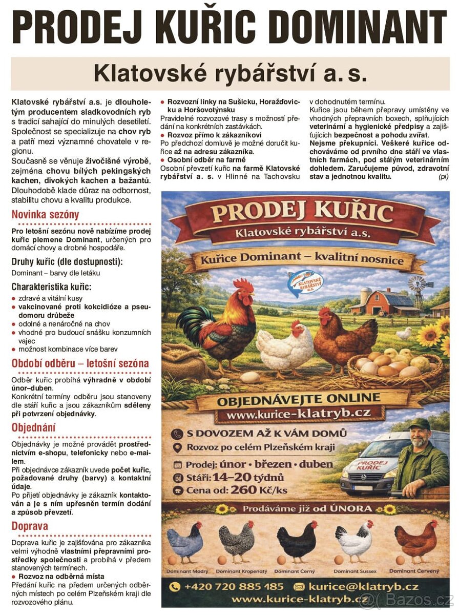 Prodej kuřic Dominant 2026 - 2