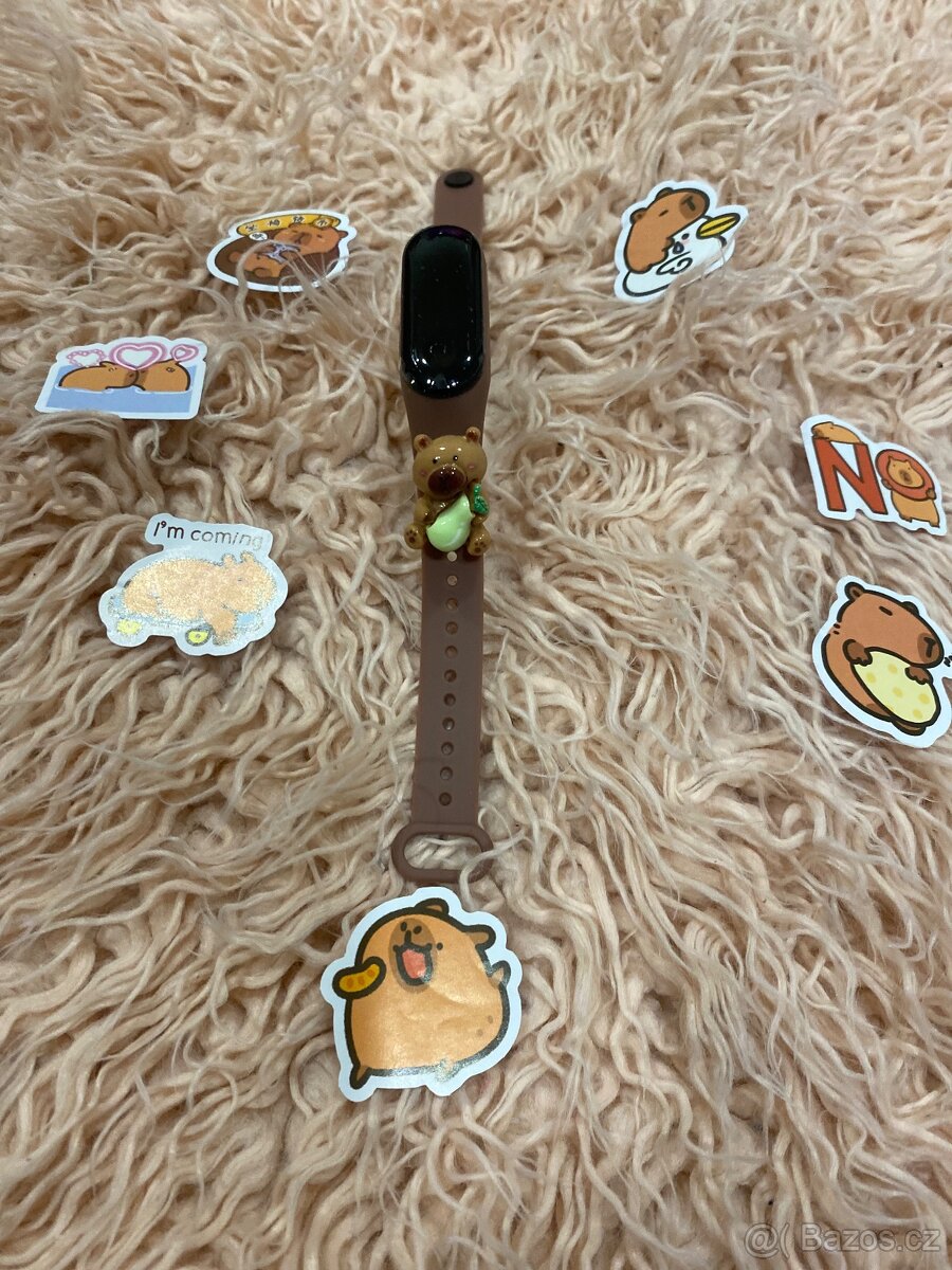 Hodinky Capybara a samolepky - 2