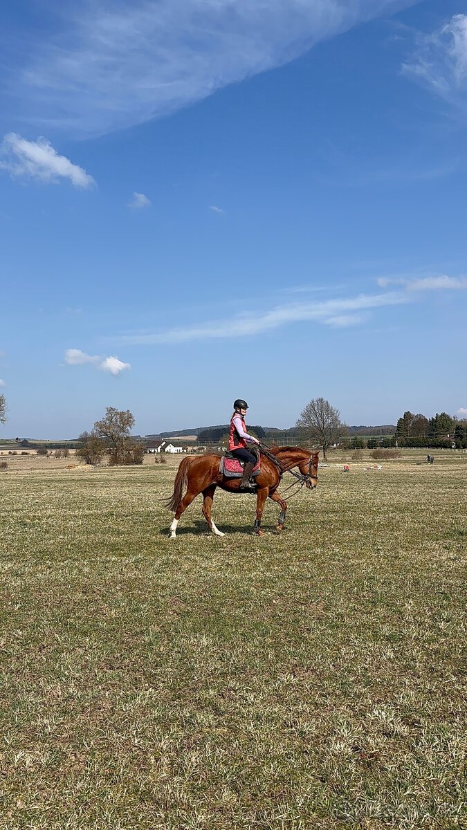 4letý valach A1/1 - 2