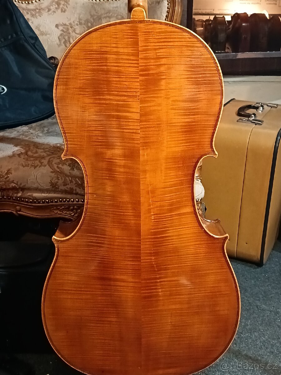 Violoncello - 2