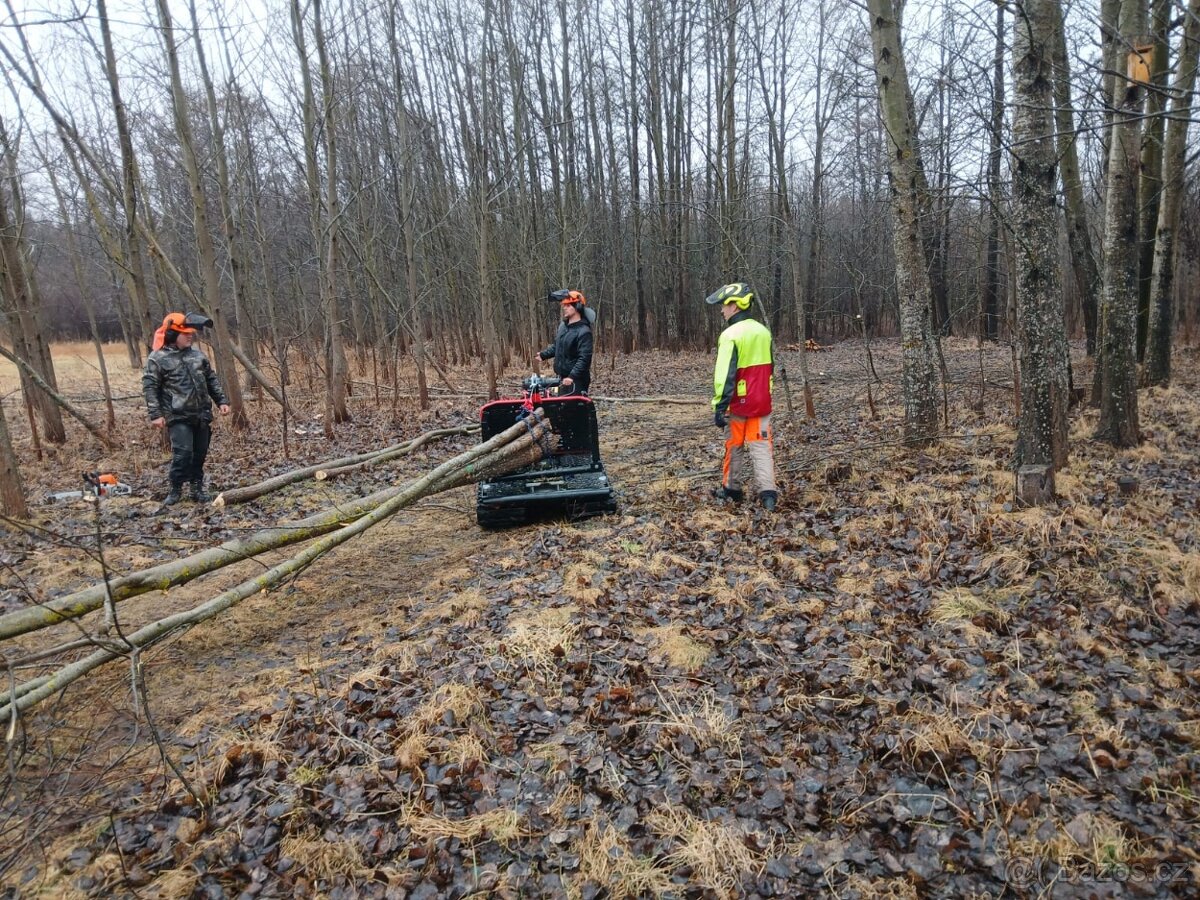 Železný kůň Lennartsfors - Švédsko - 2