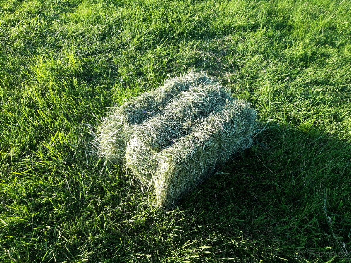 Seno malé balíky - 2