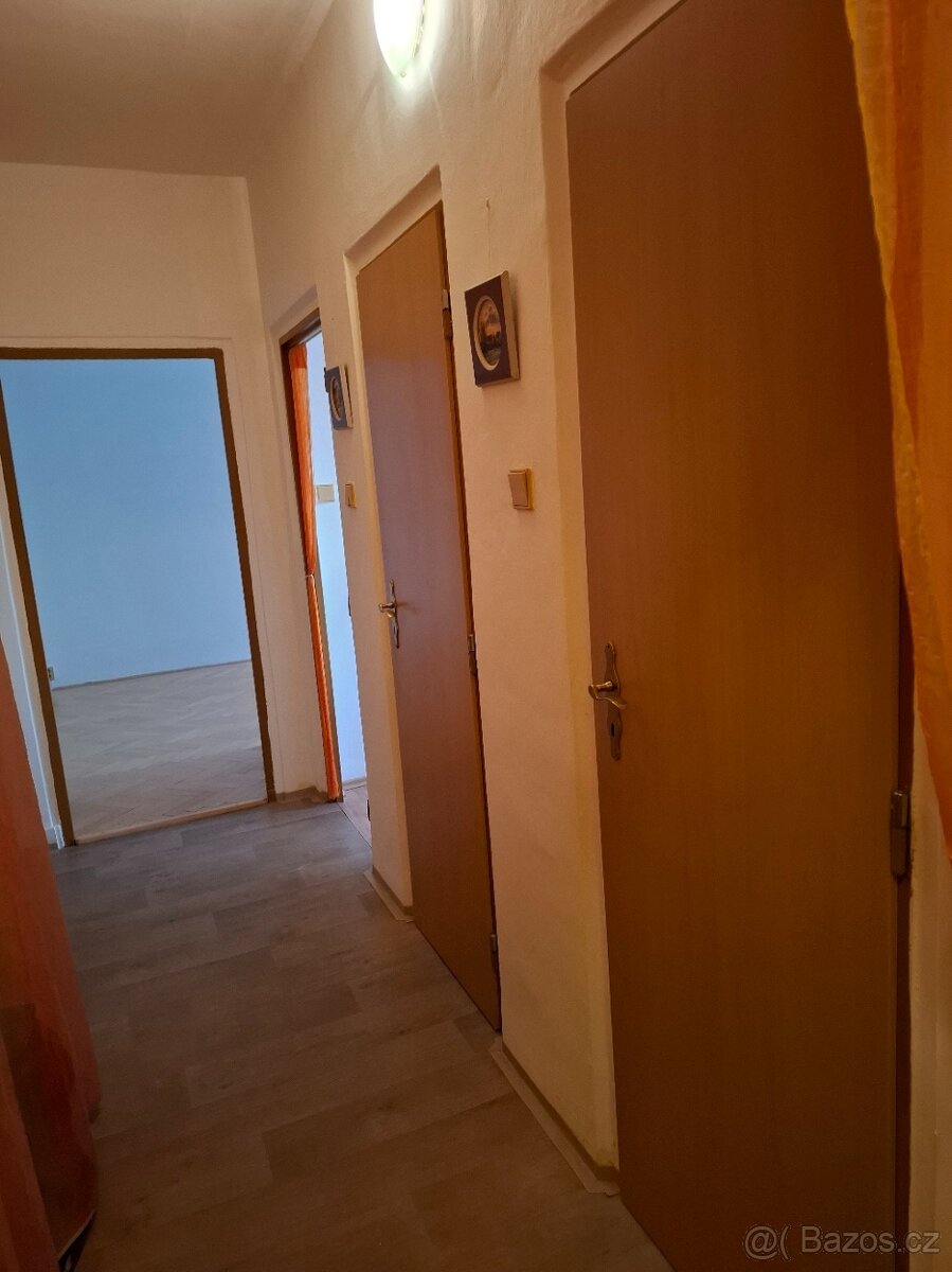 pronájem bytu 1+1 Olomouc - 2