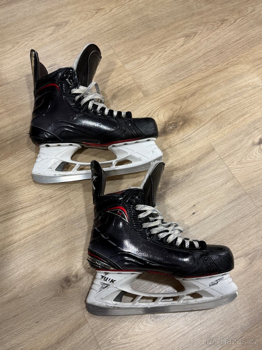 Bauer Vapor 1X 8D - 2