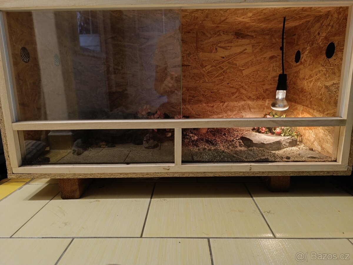 Terárium o velikosti 100x50x50 - 2