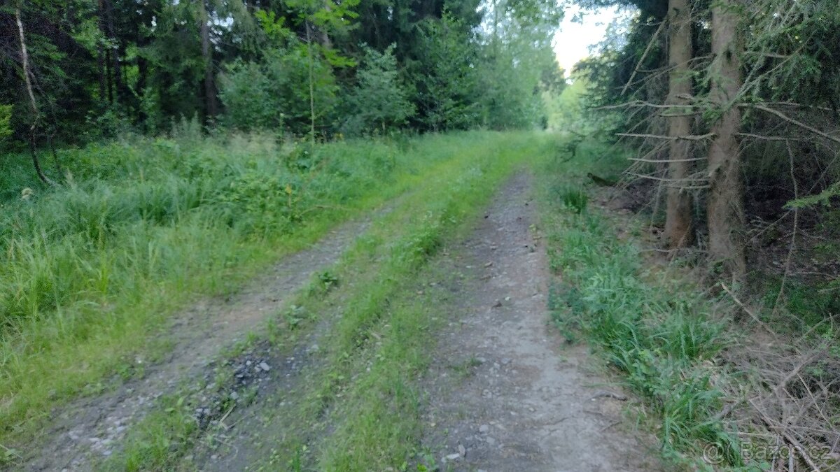 Lesní pozemek - 2