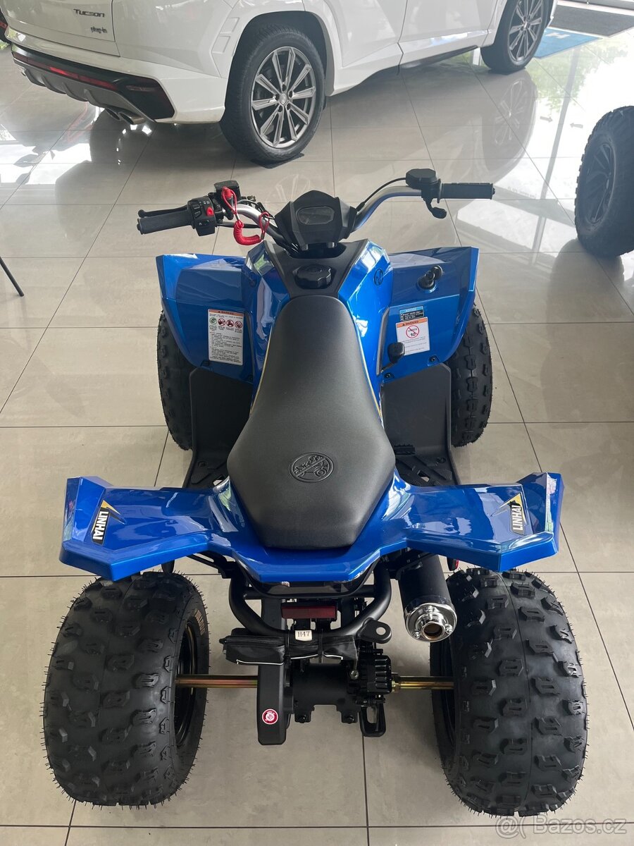 Linhai ATV 110 4x2 EFI CE - 2