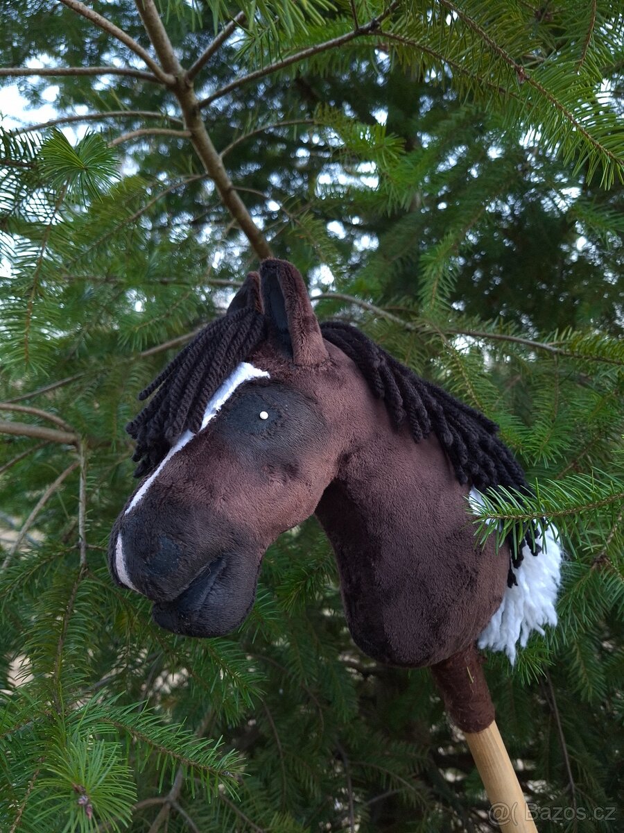Hobby horse - 2