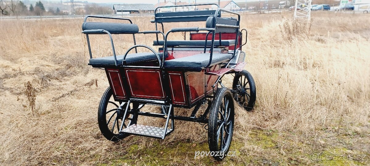 Bryčka, kočár, vagoneta, maraton, koňský povoz - 2