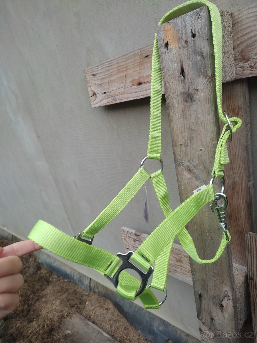 Zelená ohlávka s beránkem - 2