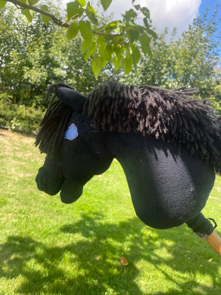 Hobby horse - 2