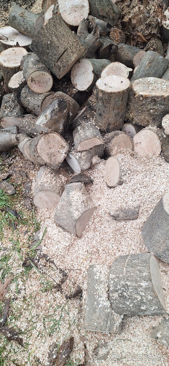 Listnaté dřevo - 2