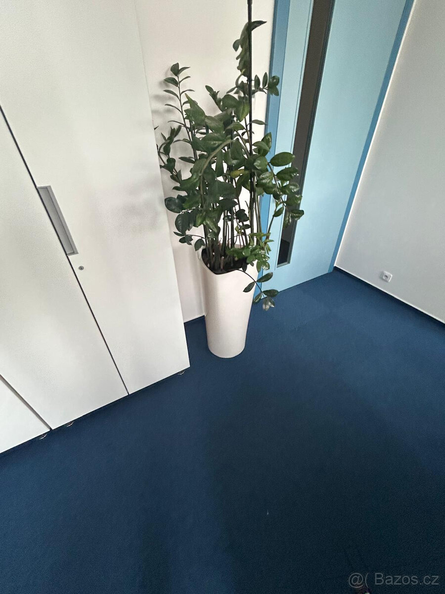 Vybavení kanceláře - 2