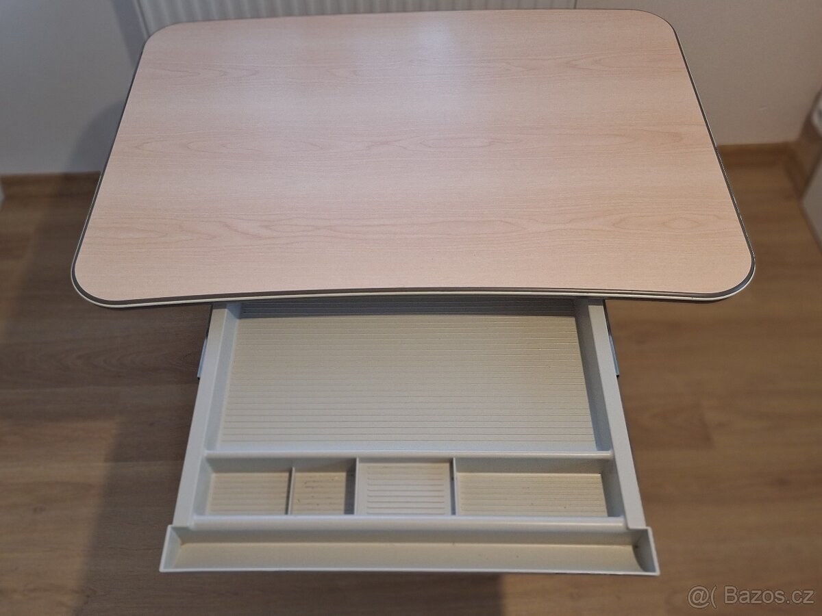 Dětský rostoucí psací stůl MAYER Junior 32W - 2